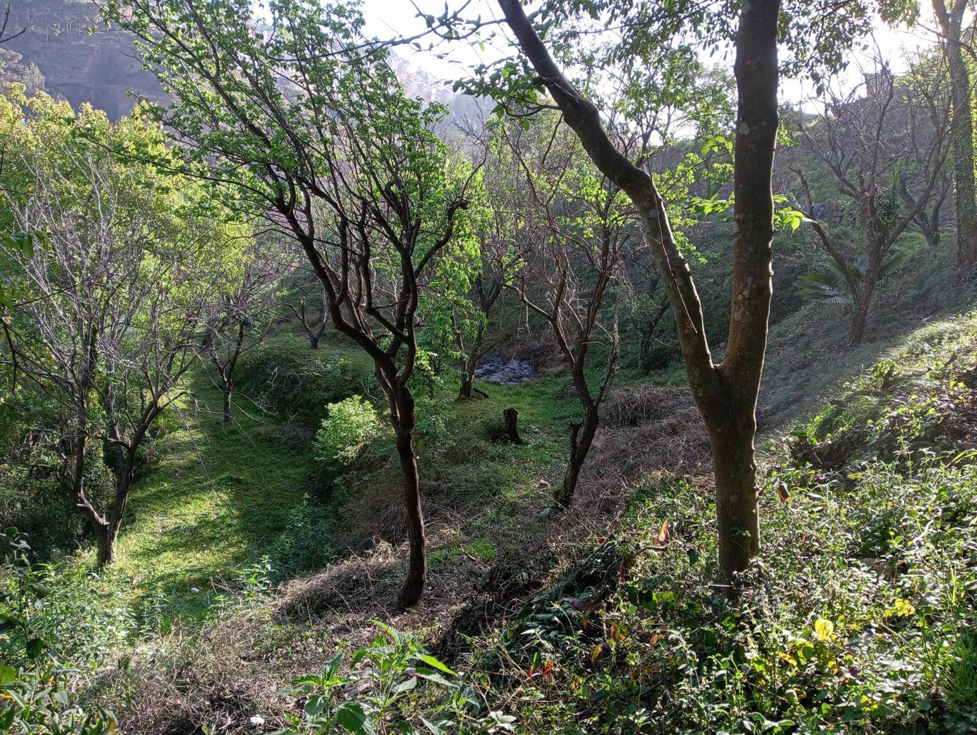 Mohija Homestay Kandāghāt Buitenkant foto
